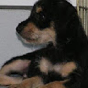 Meet your Posher, John